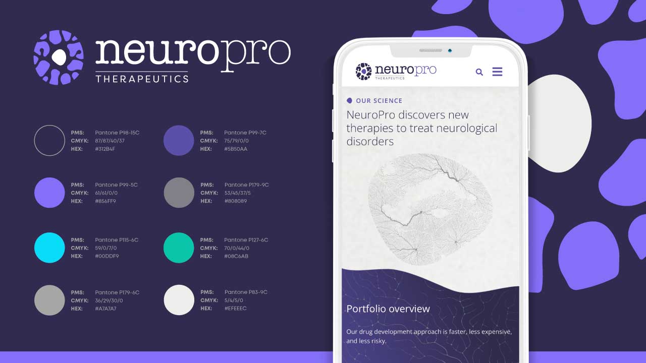 NY Digital Awards Winner - Branding, Animation, Custom Art, Messaging + Website Design