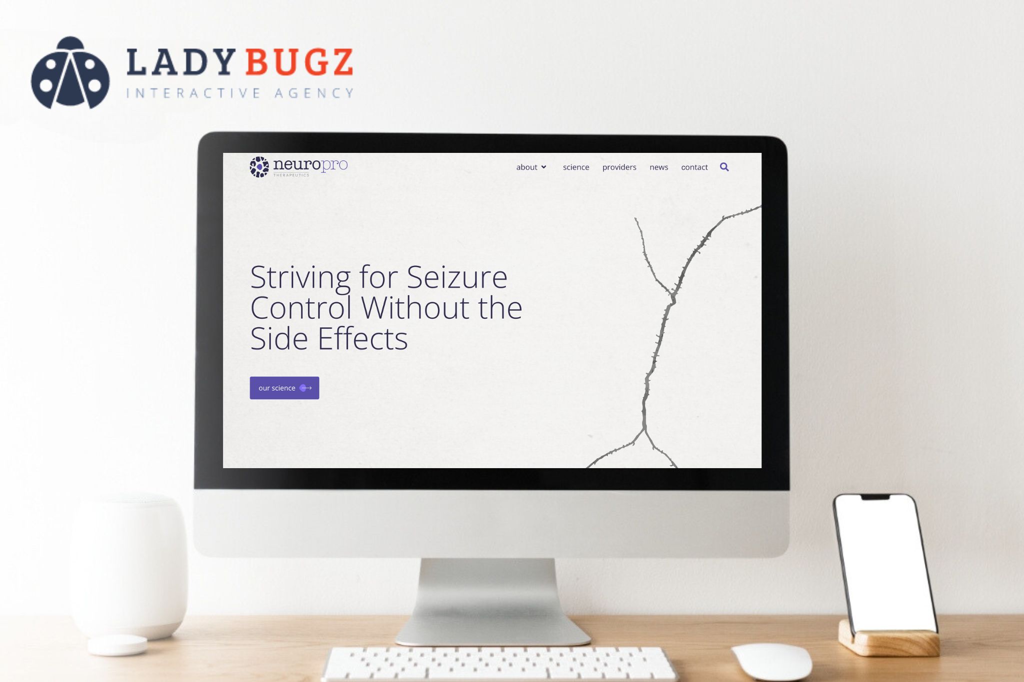 NY Digital Awards Winner - Branding, Animation, Custom Art, Messaging + Website Design