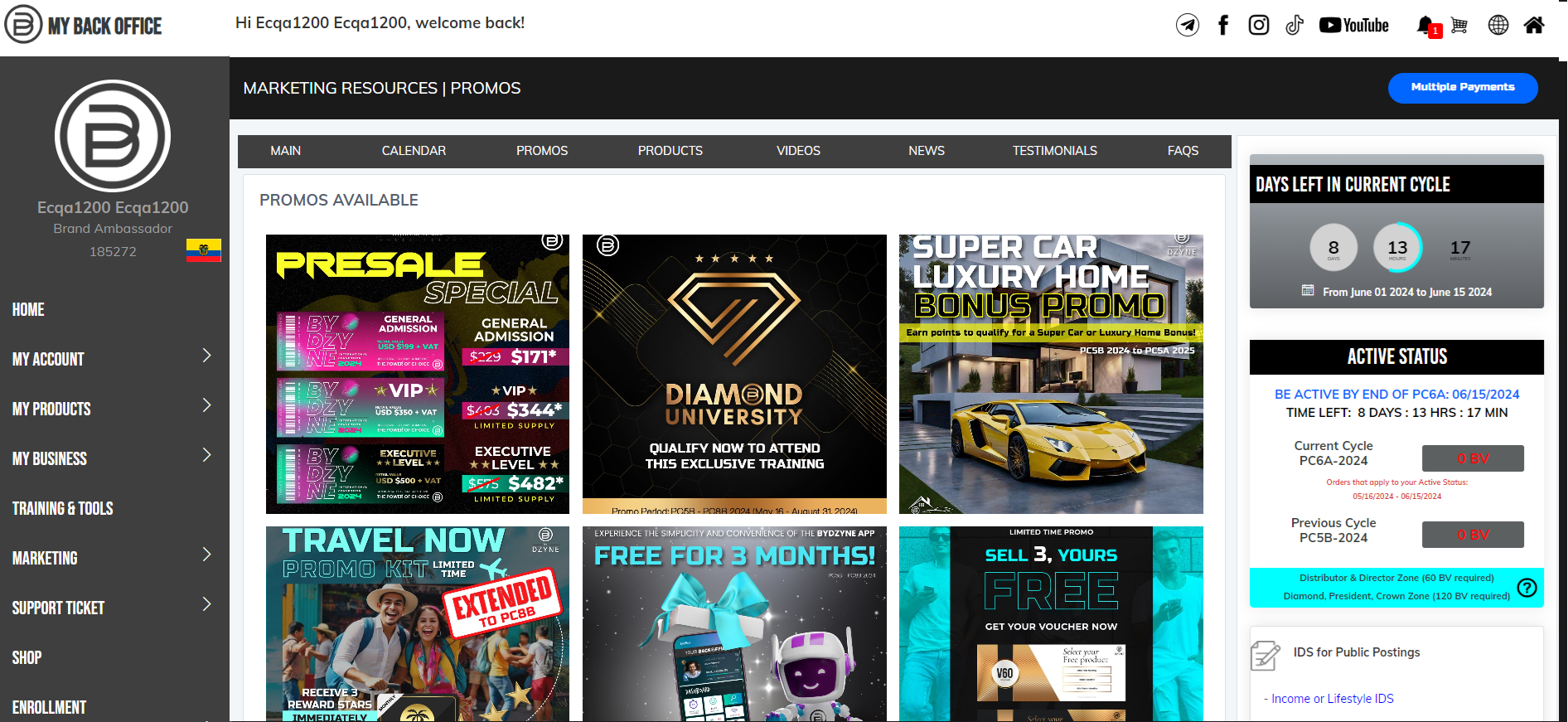 NY Digital Awards Winner - ByDzyne Multilevel Marketing