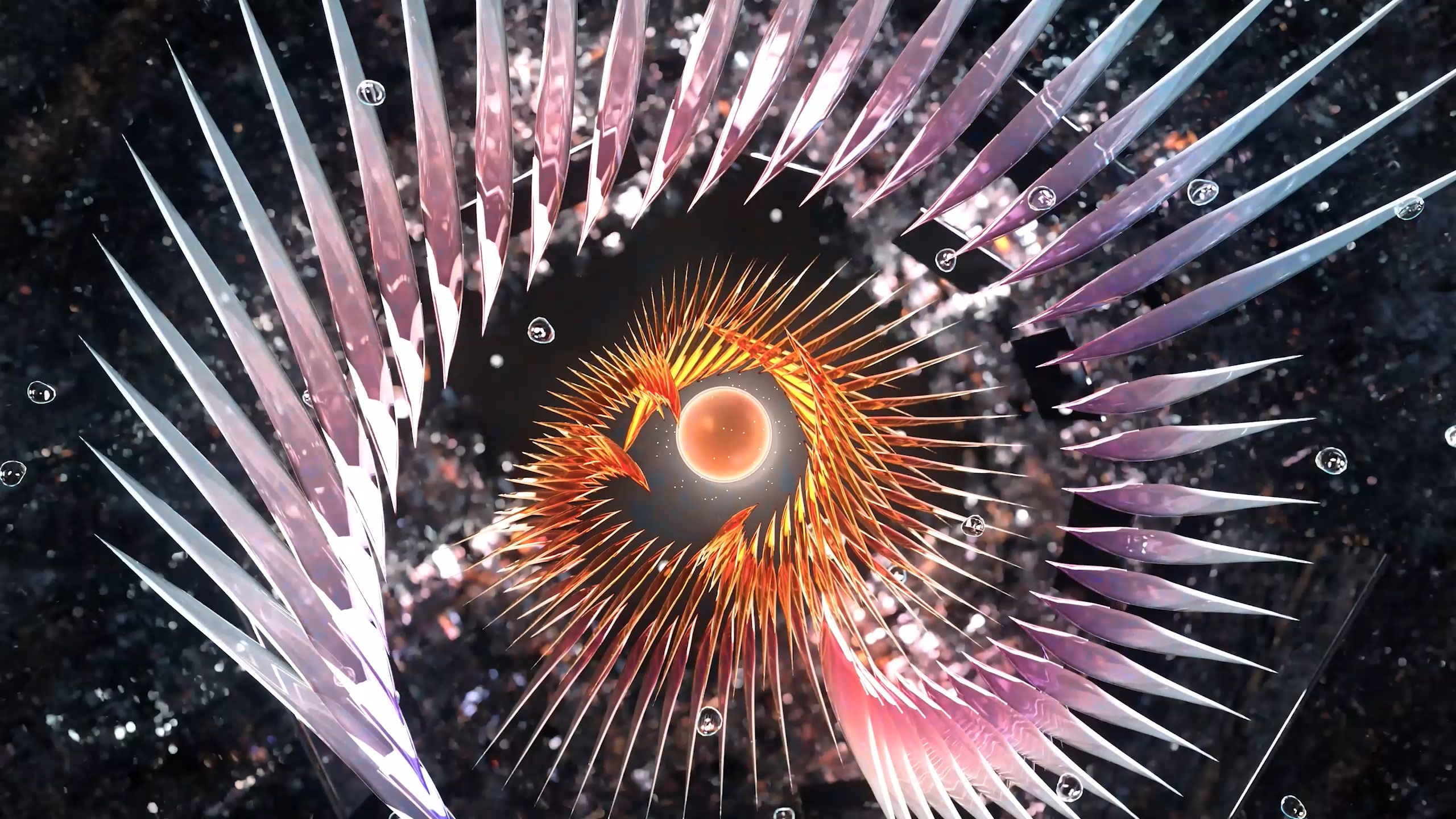 NY Digital Awards Winner - The Abundance Of Everything