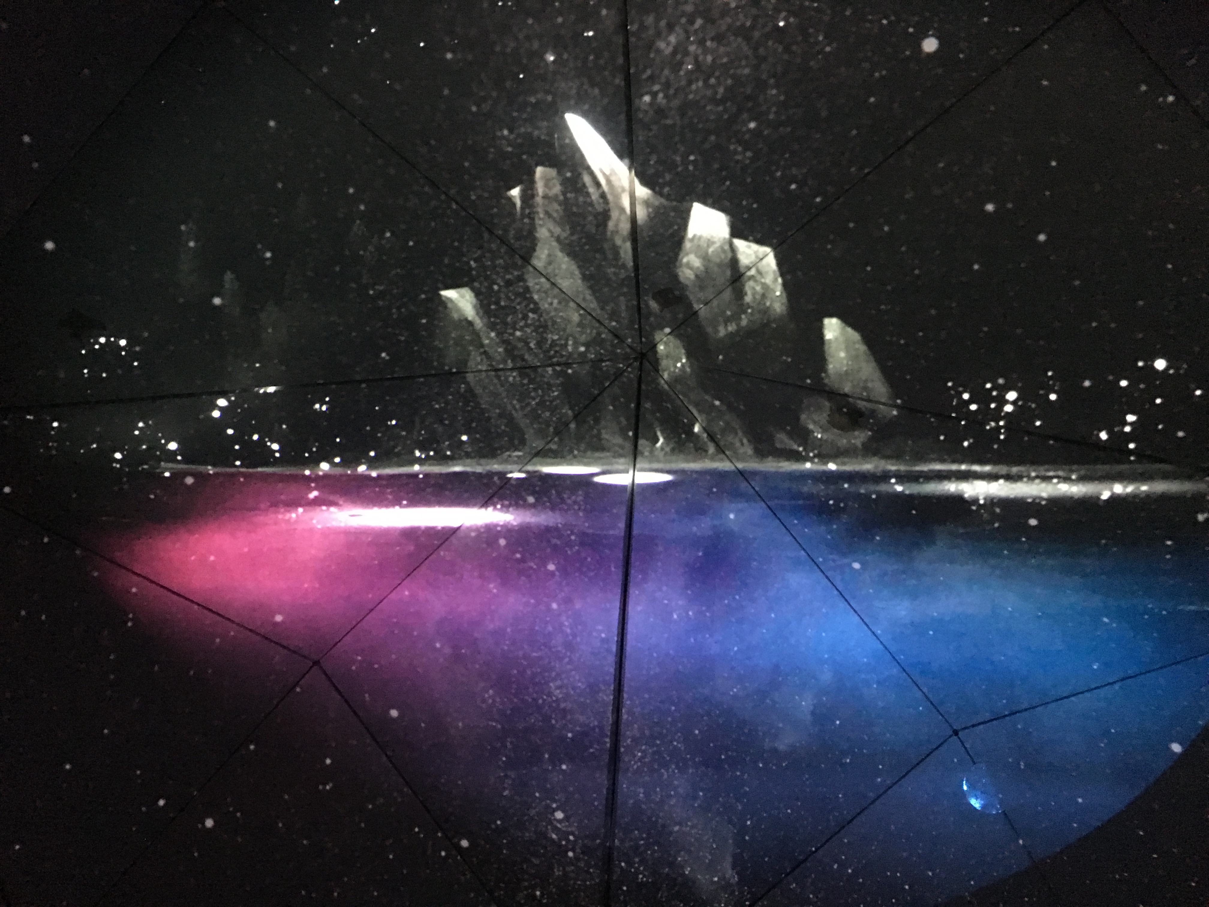 NY Digital Awards Winner - Let it Grow