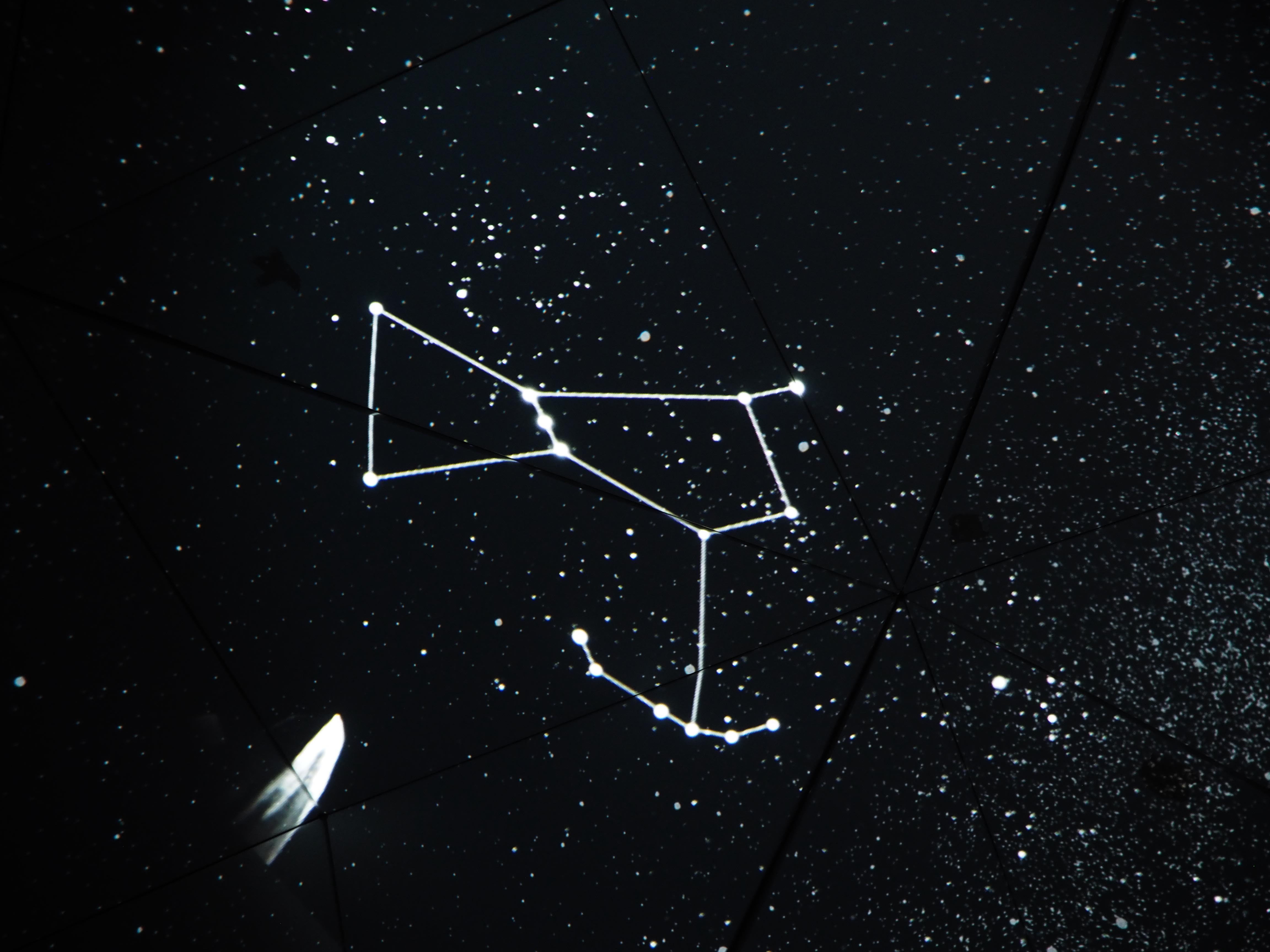 NY Digital Awards Winner - Let it Grow