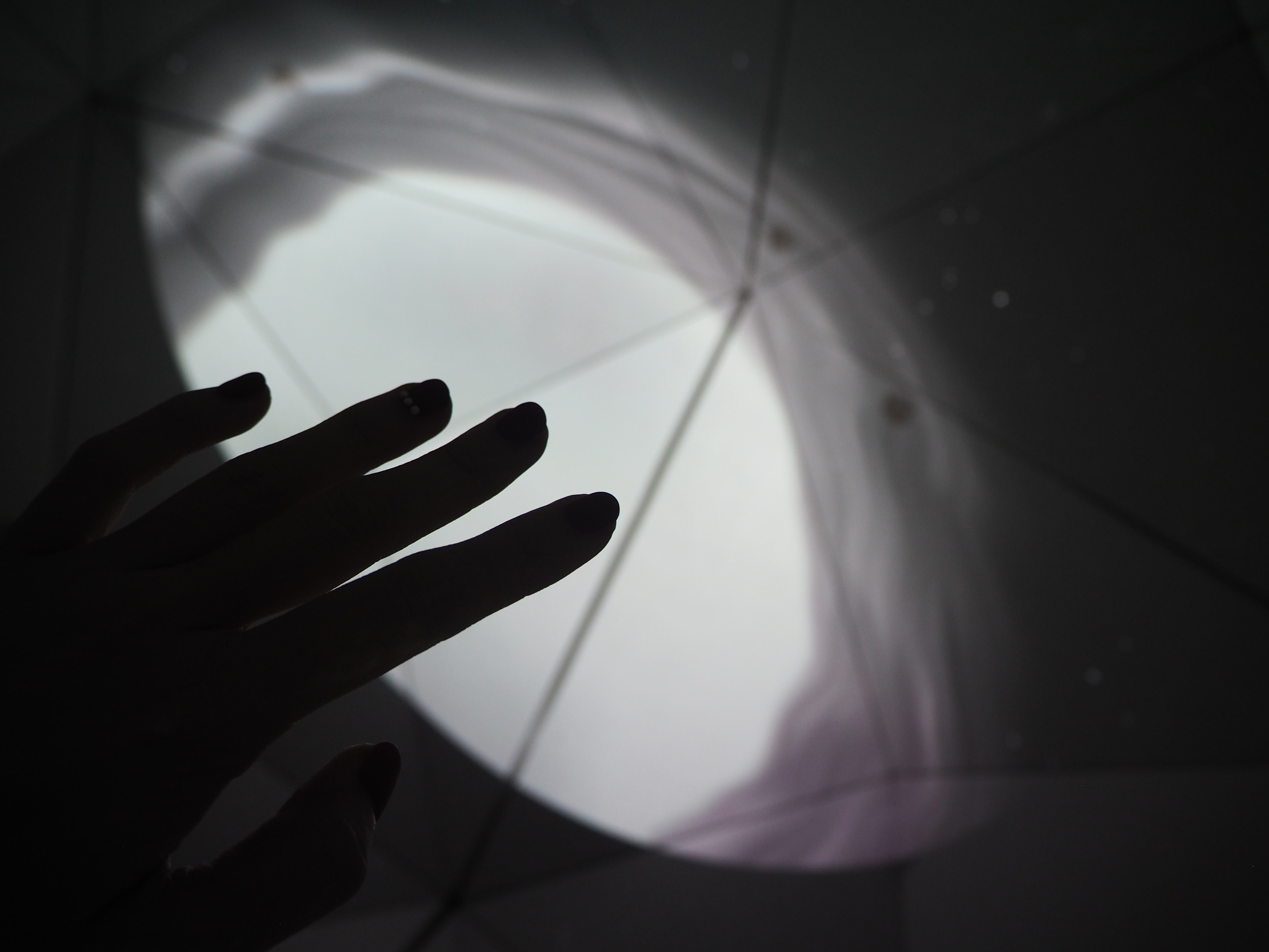 NY Digital Awards Winner - Let it Grow