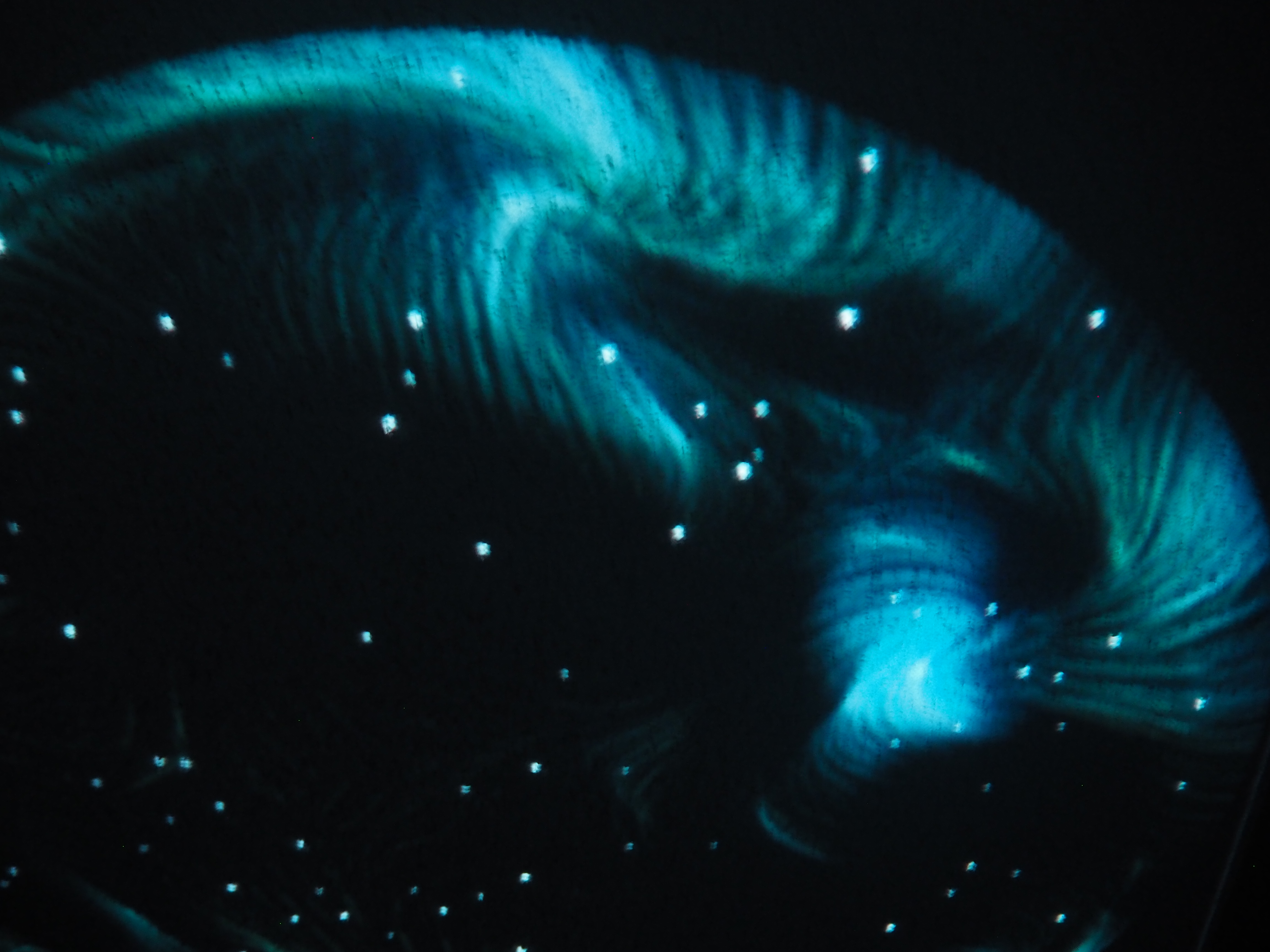 NY Digital Awards Winner - Let it Grow