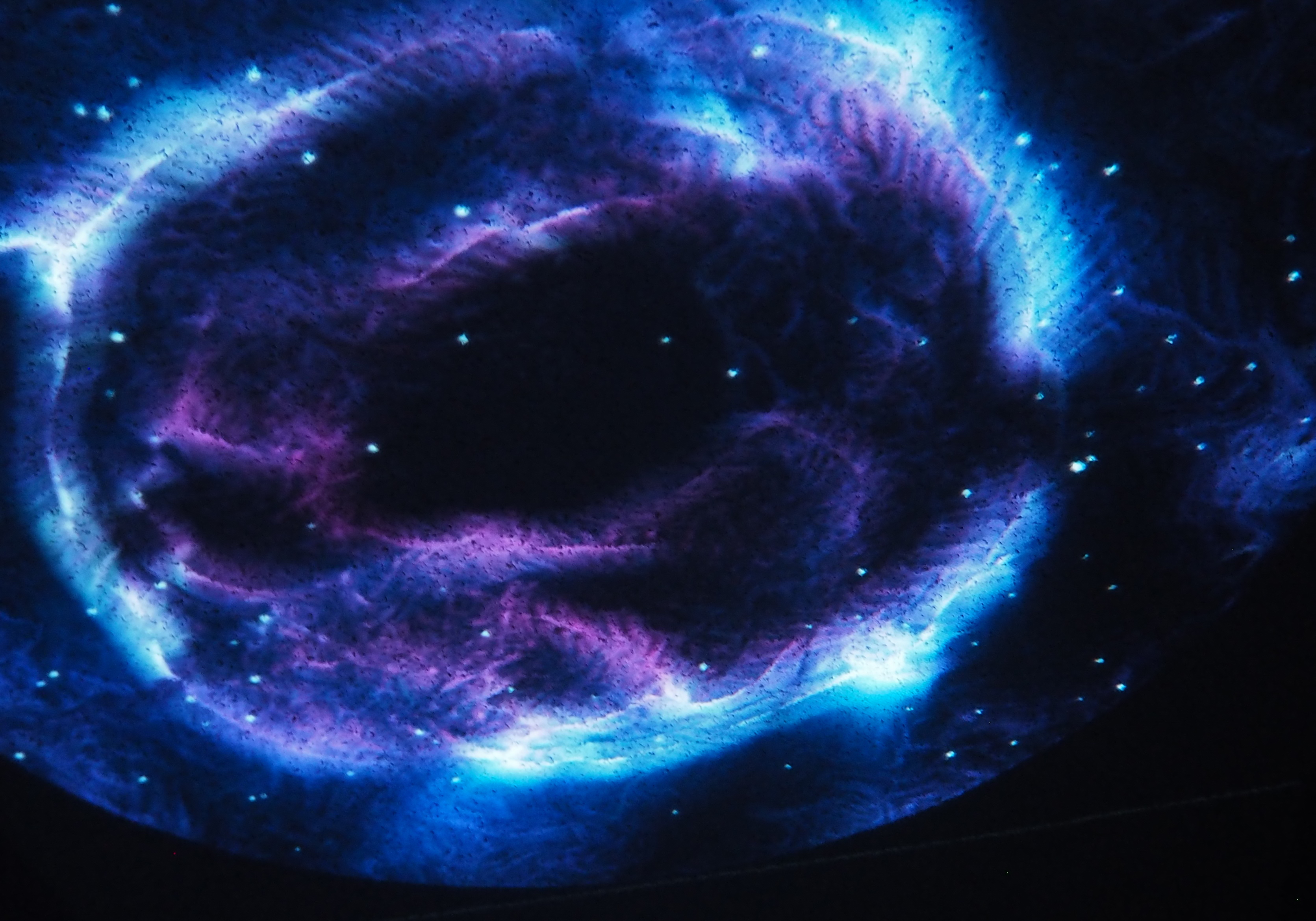 NY Digital Awards Winner - Let it Grow