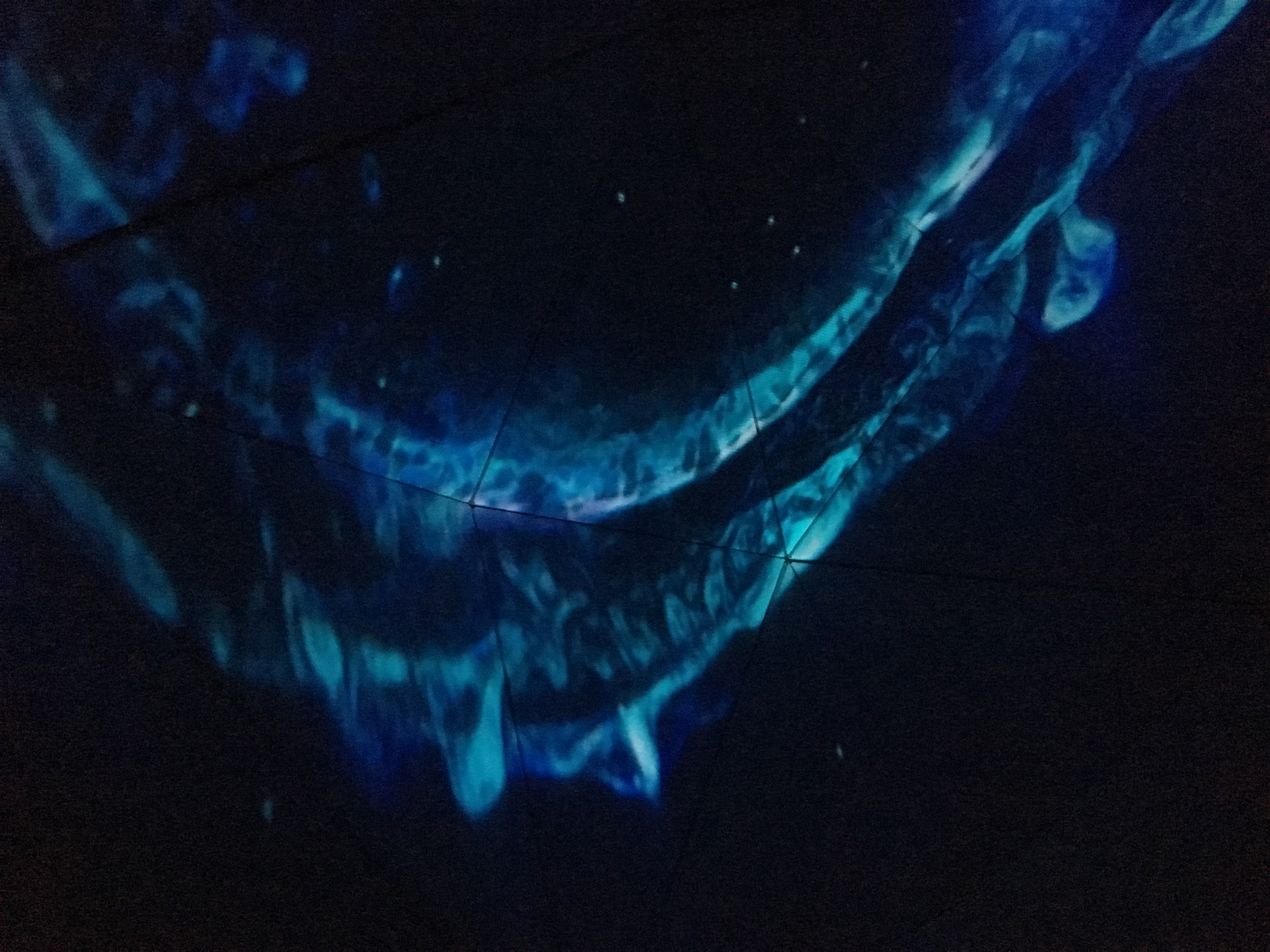 NY Digital Awards Winner - Let it Grow