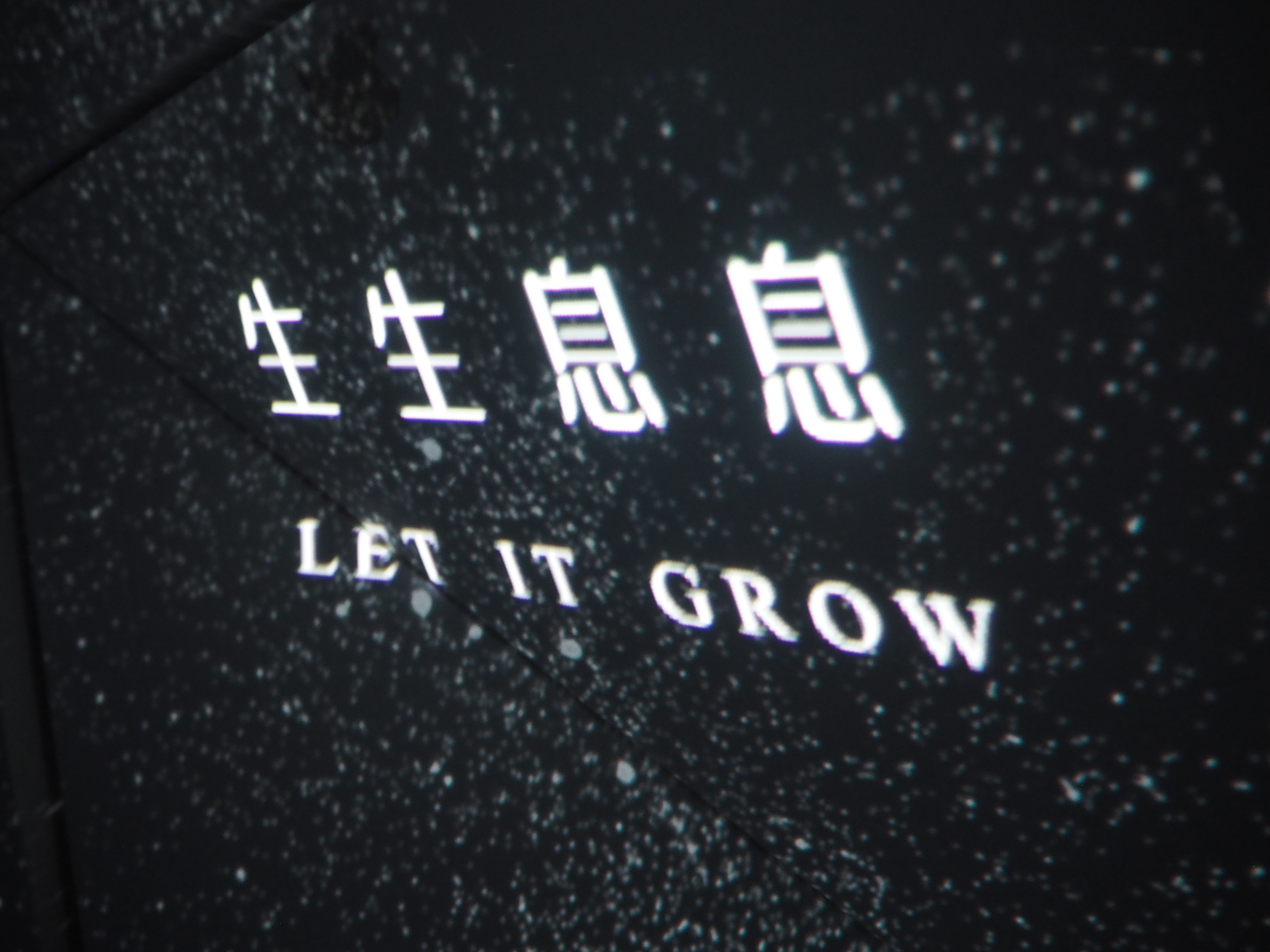 NY Digital Awards Winner - Let it Grow