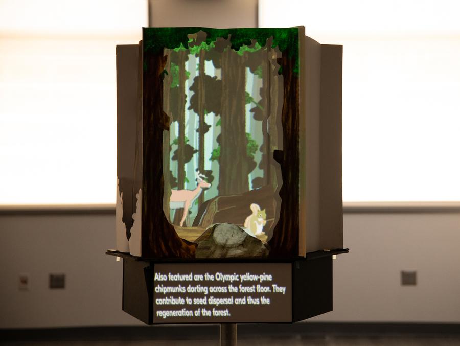 NY Digital Awards Winner - Magical Pop-up Book: The Growth and Tales of Douglas Fir