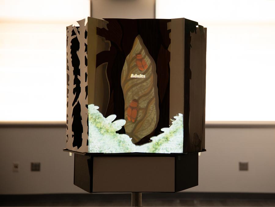 NY Digital Awards Winner - Magical Pop-up Book: The Growth and Tales of Douglas Fir