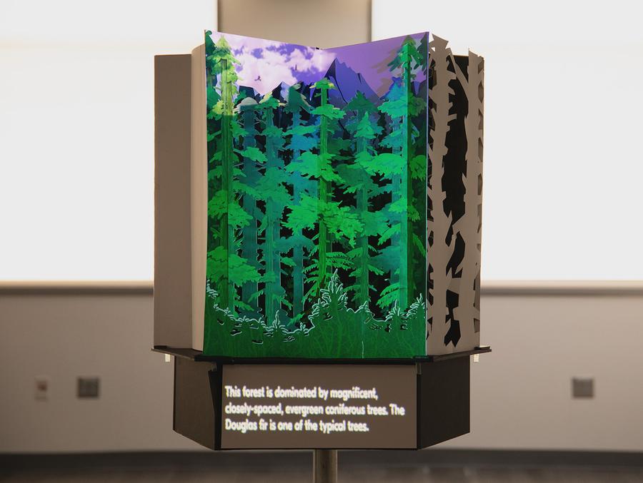 NY Digital Awards Winner - Magical Pop-up Book: The Growth and Tales of Douglas Fir