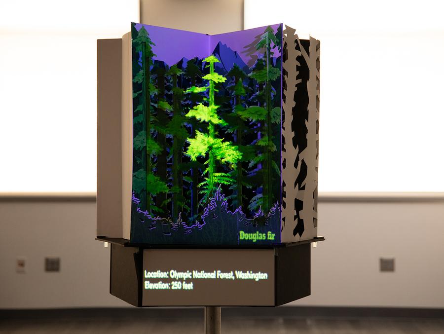 NY Digital Awards Winner - Magical Pop-up Book: The Growth and Tales of Douglas Fir