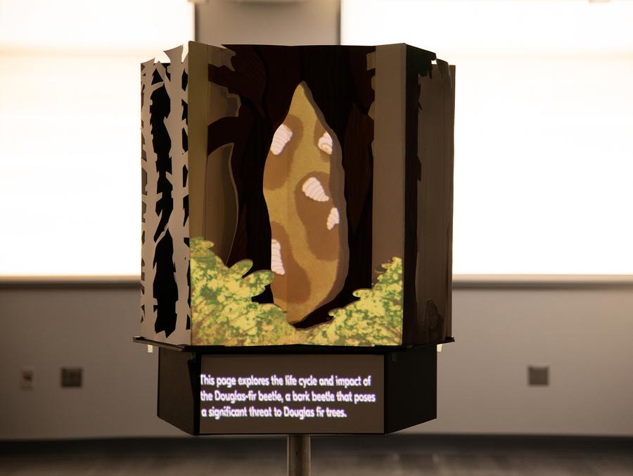 NY Digital Awards Winner - Magical Pop-up Book: The Growth and Tales of Douglas Fir