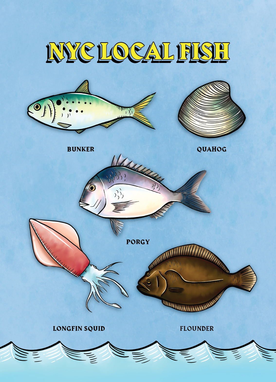 NY Digital Awards Winner - New York Local Fish Sustainability: From Port to Plate