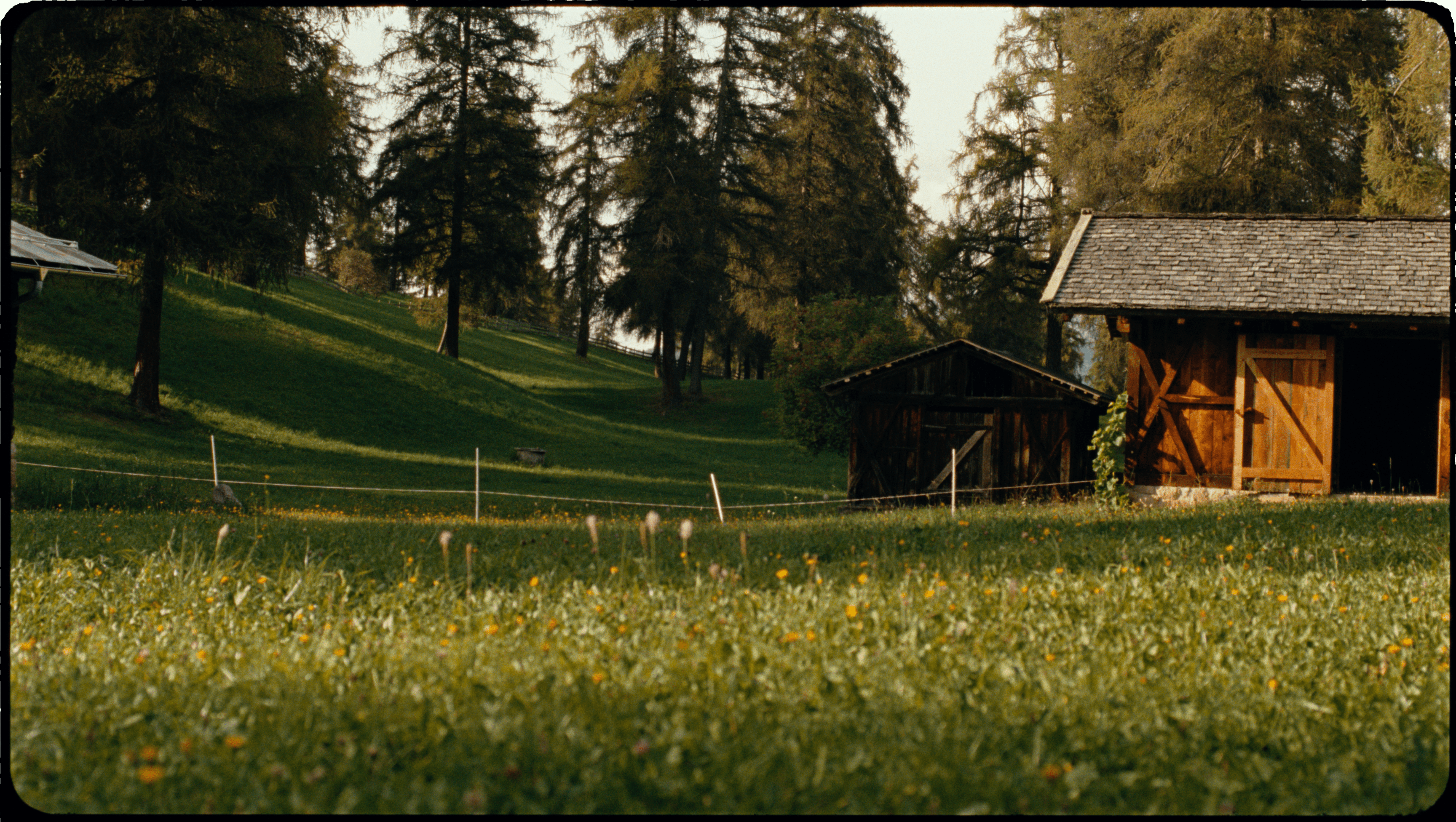 NY Digital Awards Winner - TSHEGL