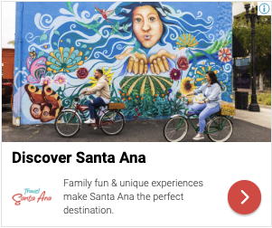 NY Digital Awards Winner - Santa Ana Mexico Campaign