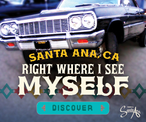 NY Digital Awards Winner - Santa Ana Mexico Campaign