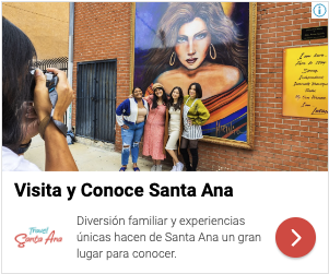 NY Digital Awards Winner - Santa Ana Mexico Campaign