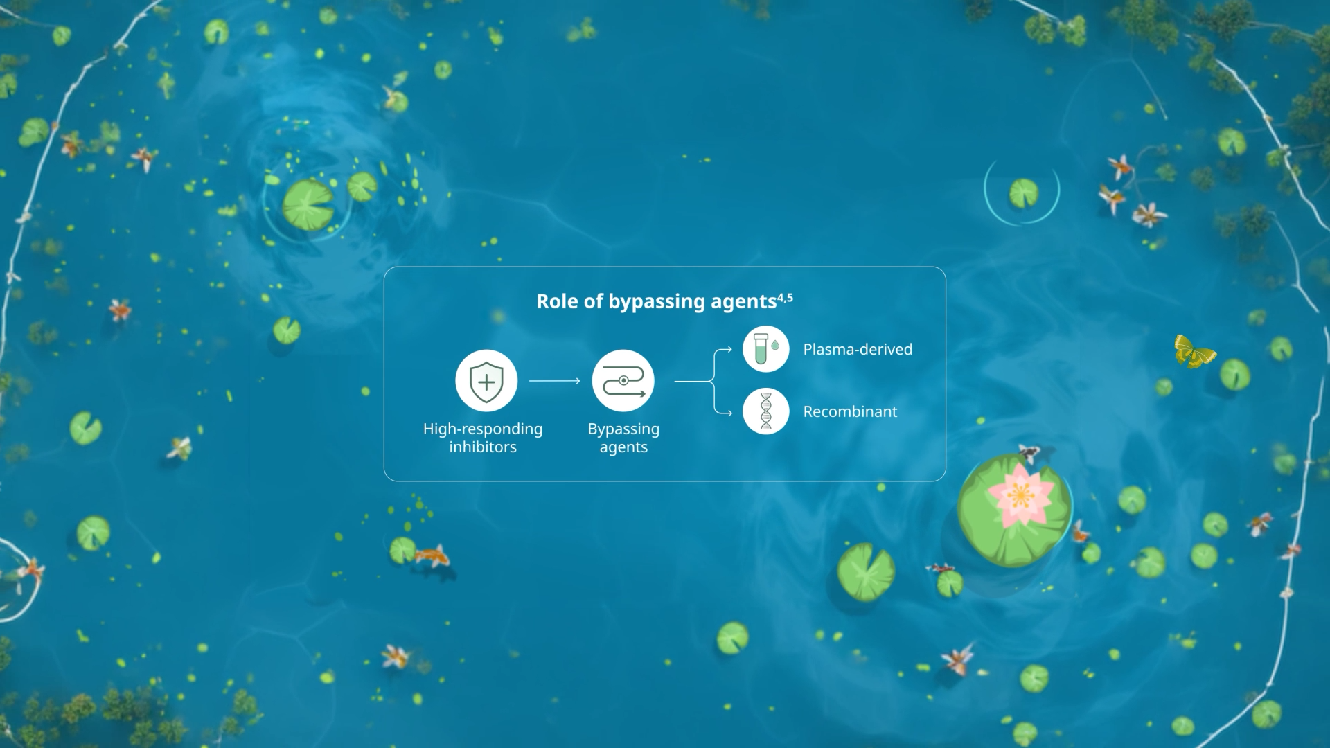 NY Digital Awards Winner - Life of Nemo