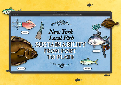 NY Digital Winner - New York University - New York Local Fish Sustainability: From Port to Plate