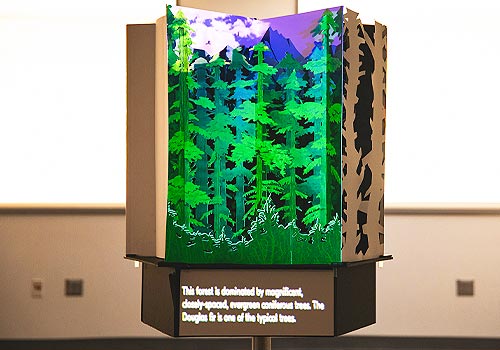 NY Digital Winner - New York Univeristy - Magical Pop-up Book: The Growth and Tales of Douglas Fir