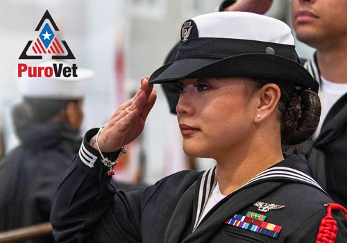 NY Digital Awards - PuroClean’s PuroVet Microsite