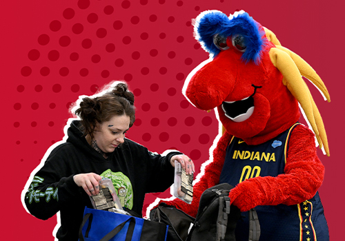 NY Digital Awards - Indiana Pacers & Fever Foundation Website