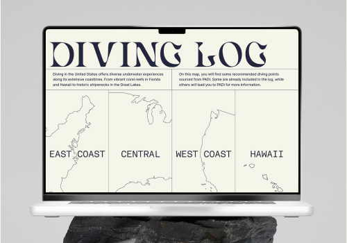 NY Digital Winner - DG-Meteor - OSEAN: Digital Diving Log